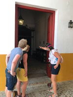 Sevilla, Tour Guided Tour y Skip-the-línea - Housity
