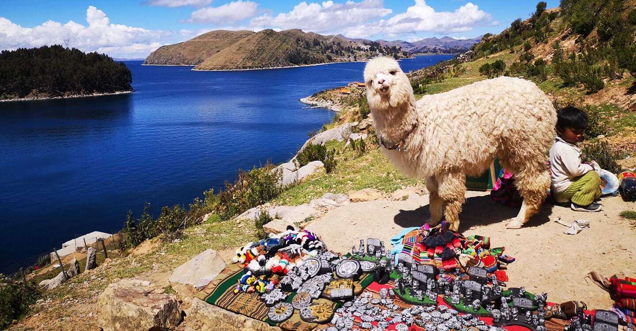 La Paz, Excursión de un día completo a Copacabana e Isla del Sol - Hizvo