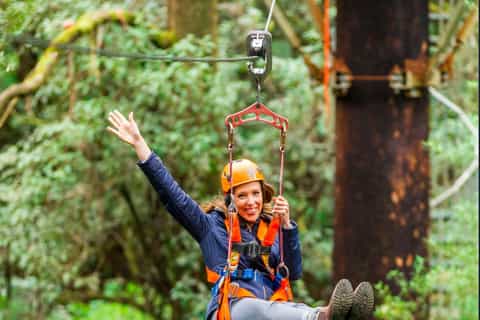 foresta di faggi otway fly zipline adventure
