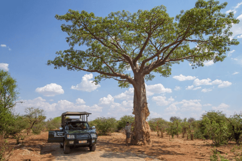 Game drive -Victoria Falls, Zimbabwe: Zambezi Nationaal ParkOchtend wildrit