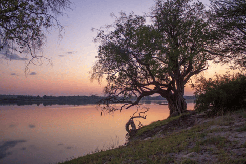 Game Drive -Victoria Falls, Zimbabwe: Zambezi National ParkMorgon Game Drive