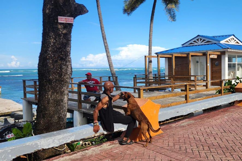 普拉塔港：从泰诺湾/安伯湾出发的猴子之旅和城市之旅普拉塔港：塔伊诺湾/安伯湾的猴子之旅和城市之旅