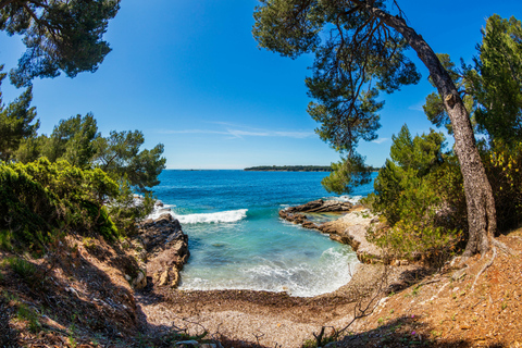 Viaje en ferri a isla Sainte-Marguerite desde Niza