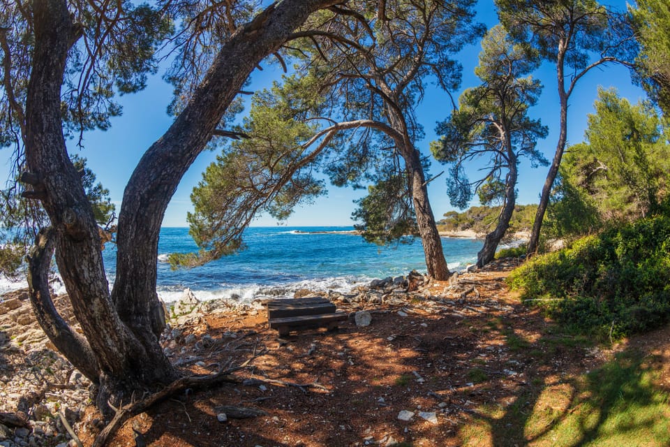 Ferry Transfer to Sainte Marguerite Island from Nice GetYourGuide