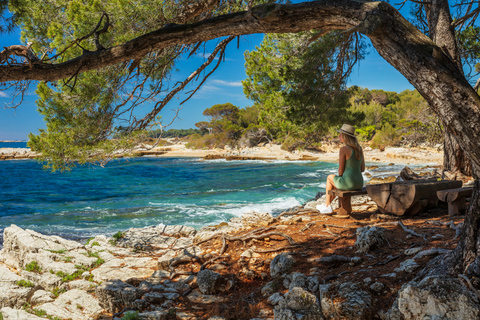 Viaje en ferri a isla Sainte-Marguerite desde Niza