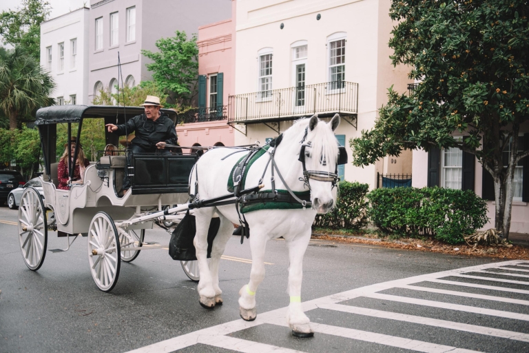 Charleston: paseo en carruaje privadoTour diurno de 60 minutos