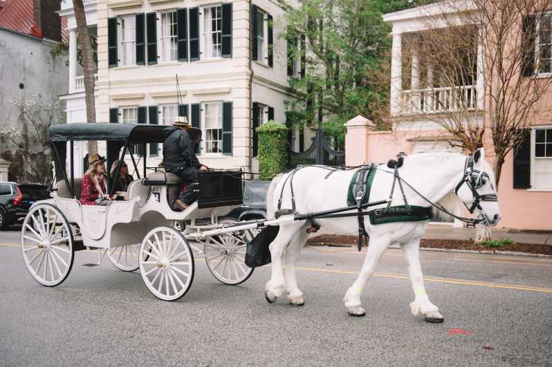 charleston sc private carriage tours