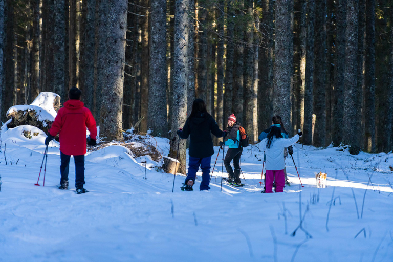 From Ljubljana/Bled: Beginner Snowshoe in Julian Alps From Bled - pickup at your accommodation