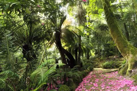Sintra: Hidden Gems Guided Walking Tour with Pastry