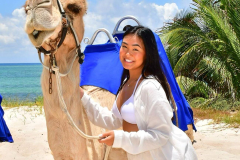 Paseo en camello: Experimenta la belleza de la playa de Tánger al atardecer