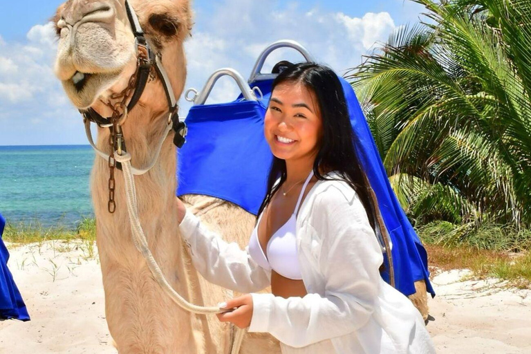 Camel Ride: Experience the Beauty of Tangier Beach at Sunset