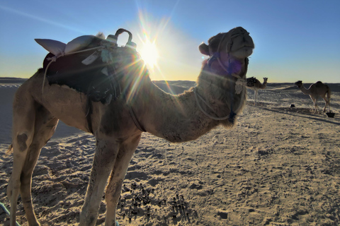 Vanuit Djerba: 3-daagse Sahara-woestijntocht en berberdorpentocht