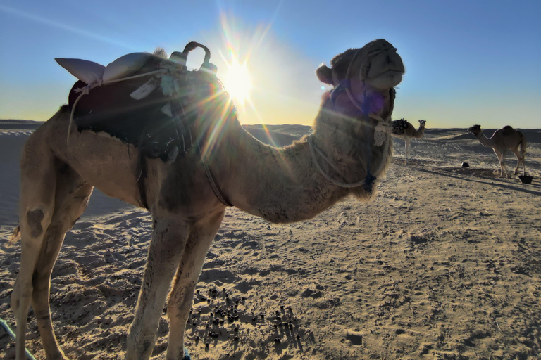 Vanuit Djerba: 3-daagse Sahara-woestijntocht en berberdorpentocht