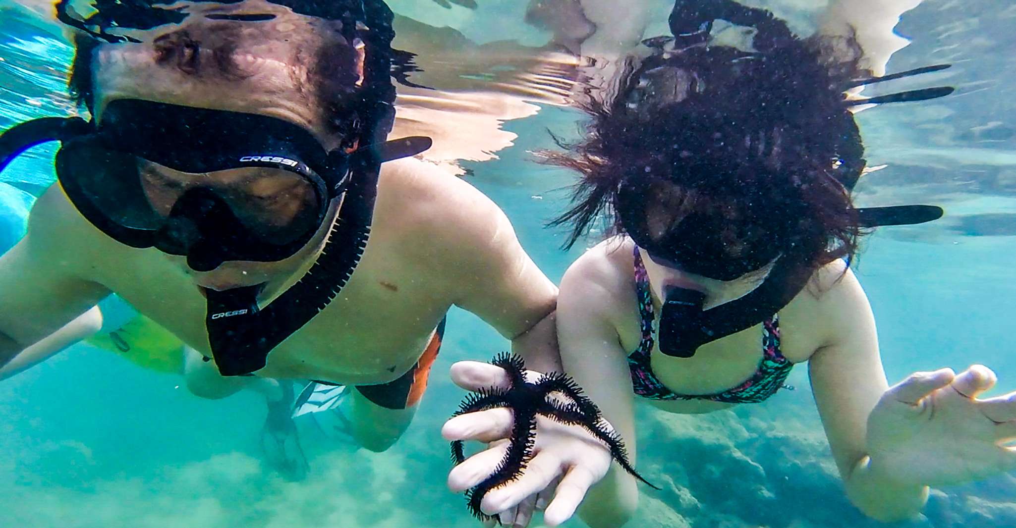 San Juan, tour di nuoto e snorkeling con tartarughe - Hizvo