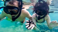 San Juan, tour di nuoto e snorkeling con tartarughe - Hizvo