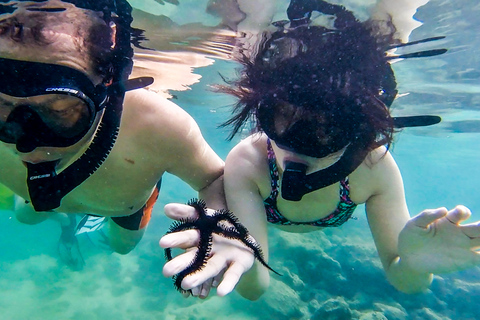 Puerto Rico: Snorkeling with Turtles Adventure