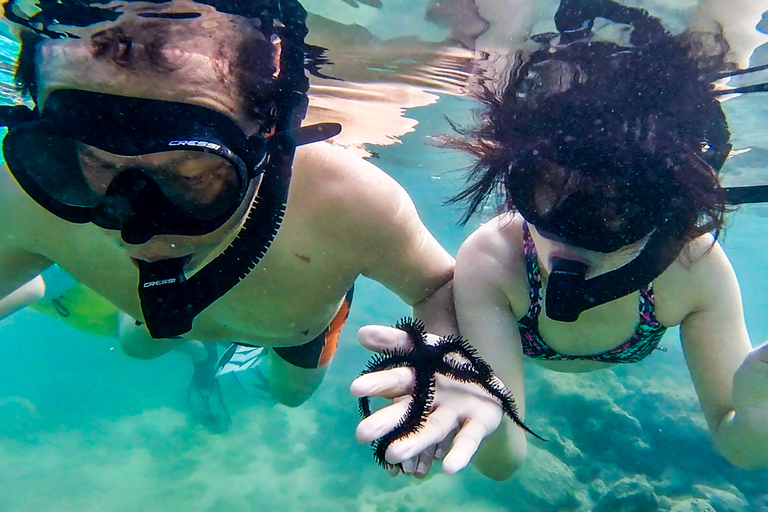 Puerto Rico: Snorkeling with Turtles Adventure