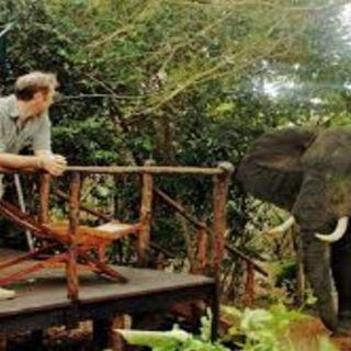 From Dar Es Salaam: Mikumi National Park 2 Nights and 3 Days