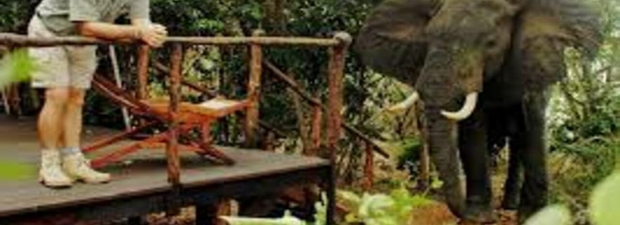 Au départ de Dar Es Salaam : Parc national de Mikumi 2 nuits et 3 jours