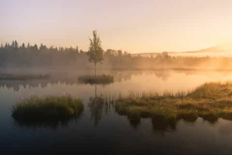 Praag: Šumava Nationaal Park Avontuur met gids en lunch