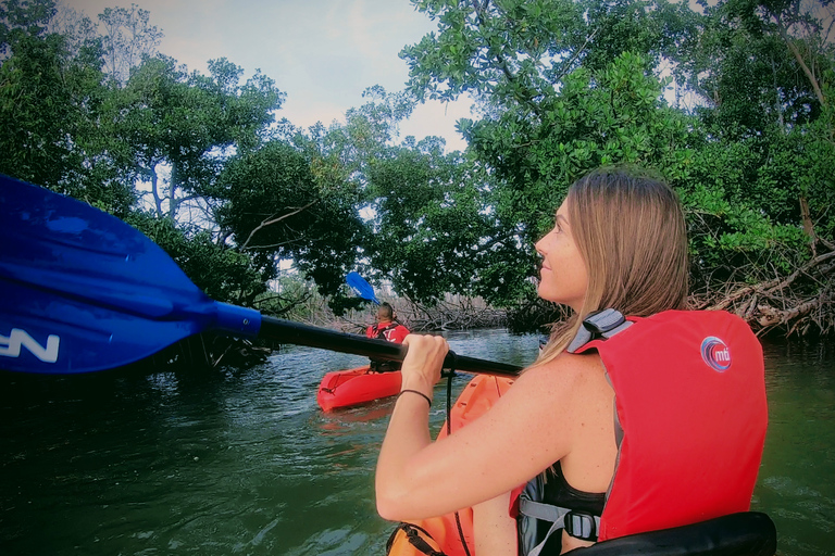 Fajardo: tour en kayak de la bahía Bioluminiscente