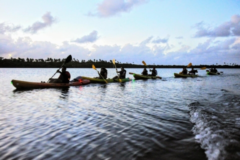 Fajardo: tour en kayak de la bahía Bioluminiscente