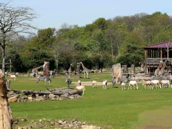 Zoo Leipzig: Tagesticket Zoo Leipzig: Tagesticket