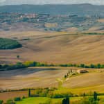Montepulciano: pranzo e degustazione di vini in una cantina
