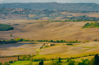 Montepulciano, Weinprobe & Mittagessen in einem typischen Weingut - Hizvo