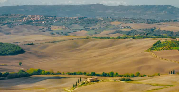 Montepulciano: Degustação de Vinhos e Almoço em uma Vinícola Típica