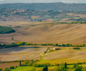 Montepulciano: Wine Tasting & Lunch in a Typical Winery