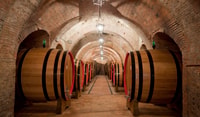 Montepulciano, Weinprobe & Mittagessen in einem typischen Weingut - Hizvo