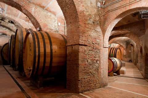 Montepulciano: Wine Tasting & Lunch in a Typical Winery
