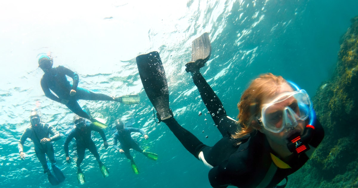 Tenerife HalfDay Snorkeling Tour GetYourGuide