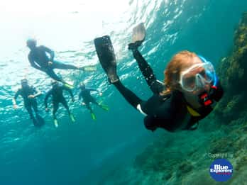 Teneriffa: Halbtägige oder ganztägige Schnorcheltour Teneriffa: Halbtägige oder ganztägige Schnorcheltour