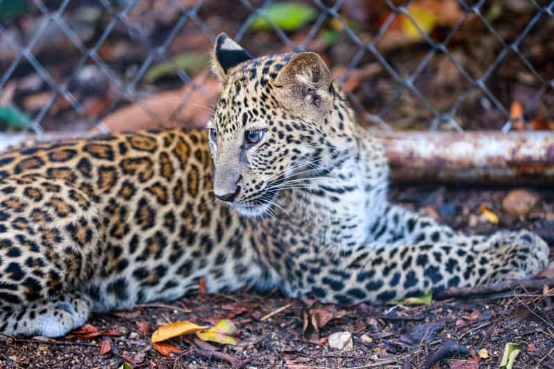 San Jose: Costa Rican Wildlife Zoo Visit | GetYourGuide