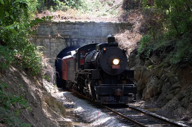 Chattanooga Zugfahrt mit der Tennessee Valley Railroad GetYourGuide