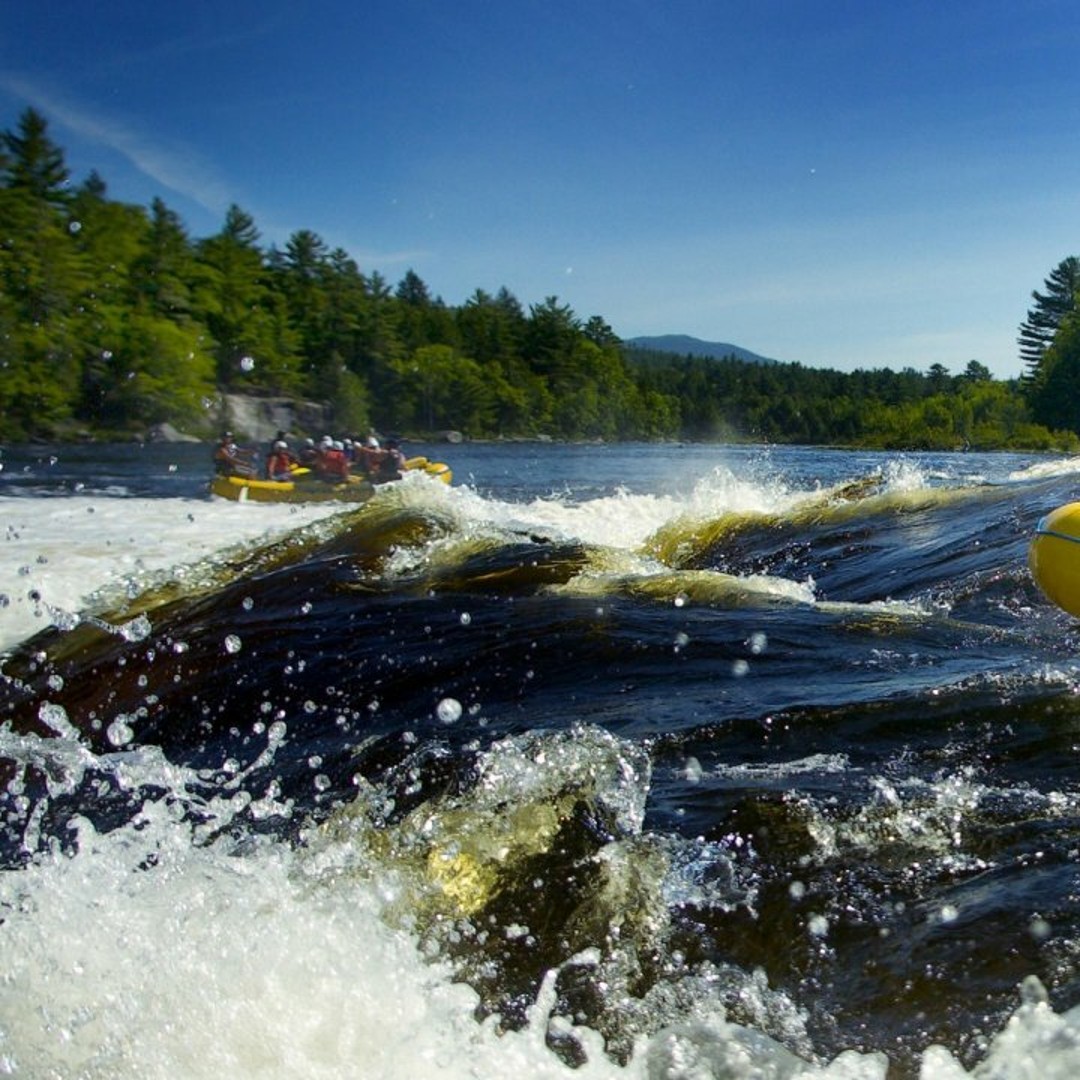 Wild Water Raft Ride Brasov: Wild Water Rafting Day Trip | GetYourGuide