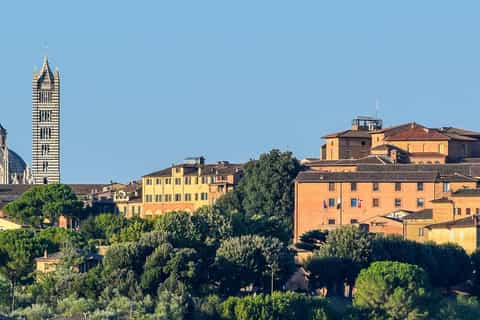 Siena: Guided Nighttime Walking Tour