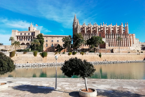 Il centro storico di Palma per la prima voltaScopri Palma per la prima volta in inglese