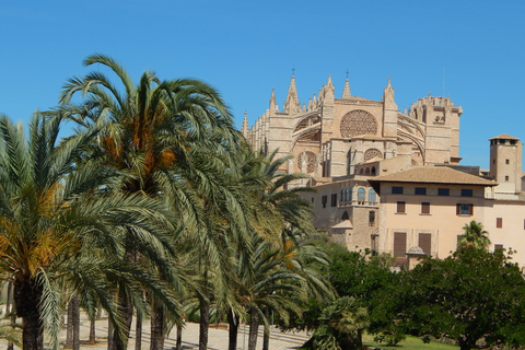 Palma: wandeltocht geheimen, mysteries en legendes