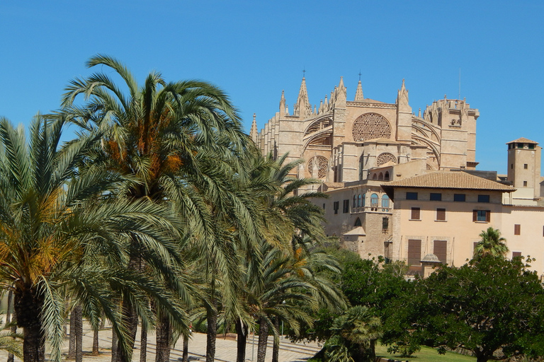 Palma : visite à pied des secrets, des mystères et des légendes