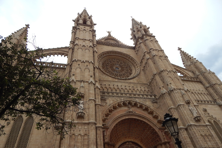 Palma : visite à pied des secrets, des mystères et des légendes