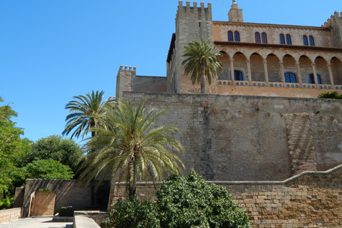 Palma old town for the first timeDiscover Palma for the first time in English