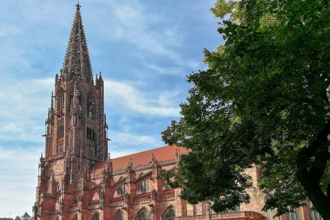 Freiburg: stadstour Gässle, Bächle en meerRondleiding in het Duits