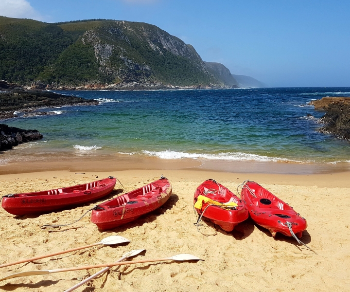 From Port Elizabeth: 5-Day Garden Route Tour to Cape Town