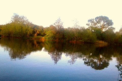 Oxford: Chauffeured Punting River with Optional Walking Tour Private River Cruise and Private Group Walking Tour