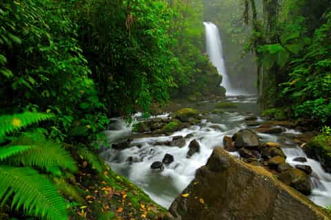 San José: La Paz Waterfall Gardens Private Day Tour
