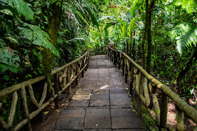 San Jose: vulcano Poas e giardini delle cascate di La PazTour privato di un giorno del Vulcano Poás e dei Giardini delle Cascate di La Paz