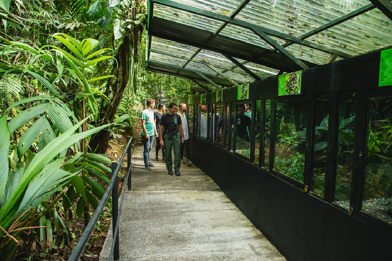 San Jose: vulcano Poas e giardini delle cascate di La PazTour privato di un giorno del Vulcano Poás e dei Giardini delle Cascate di La Paz